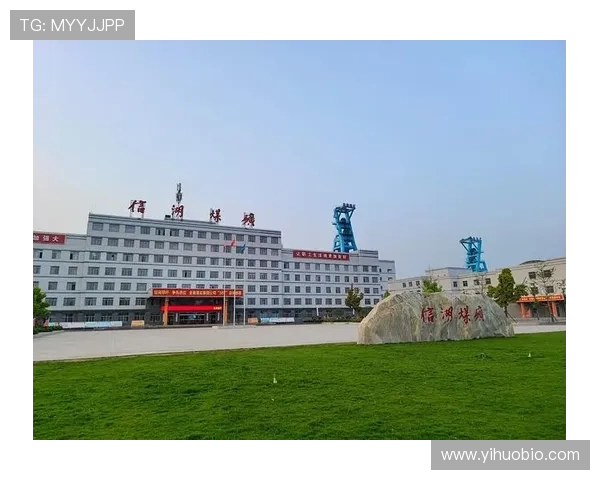 成都排球队的崛起之路：从默默无闻到全国瞩目的辉煌历程