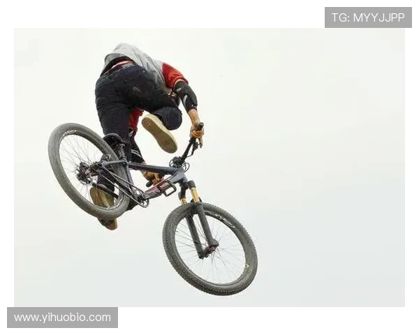 成都极限运动队实力深度解析与各队竞技表现全面对比