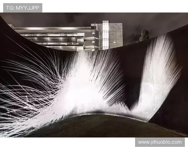 杭州排球队的崛起与发展探索展现排球运动的无限魅力与力量