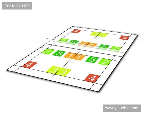 杭州羽毛球队反击战术解析与实战应用探讨
