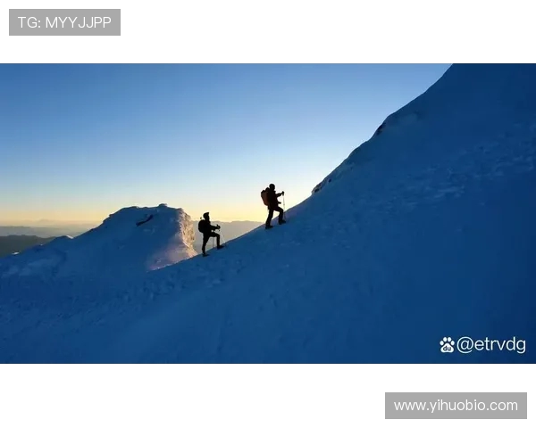 深圳攀岩队创新包夹技术助力运动员突破极限挑战新高峰 深圳攀岩队创新包夹技术助力运动员突破极限挑战新高峰