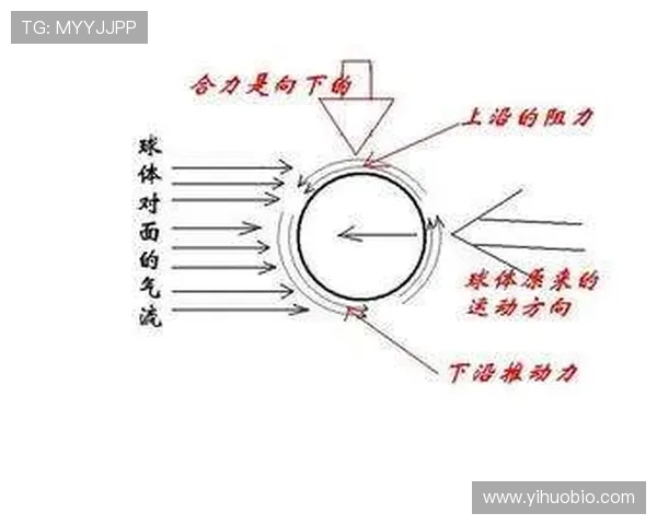 乒乓球战术解析：西安乒乓球队控制体系的构建与应用探讨