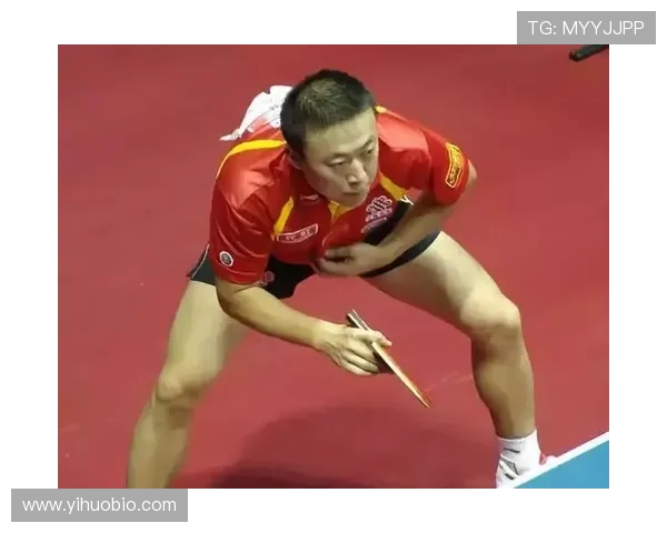 从零起步掌握乒乓球意识全方位技巧与策略指南