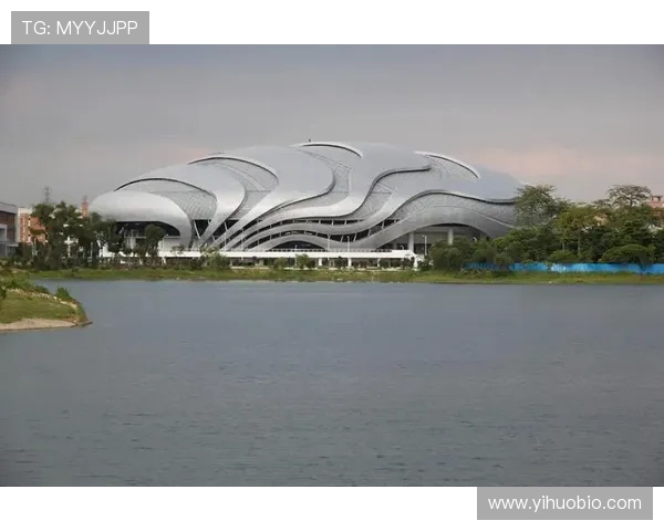 广州极限运动队创下新纪录速度排名引领潮流挑战极限运动新高度