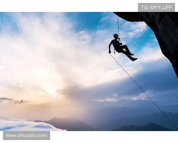 攀岩新手必看耐力训练技巧与入门指南详解